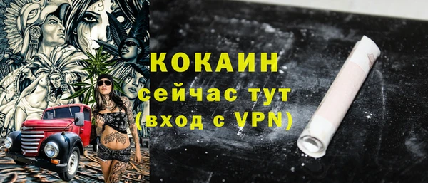 apvp Белокуриха