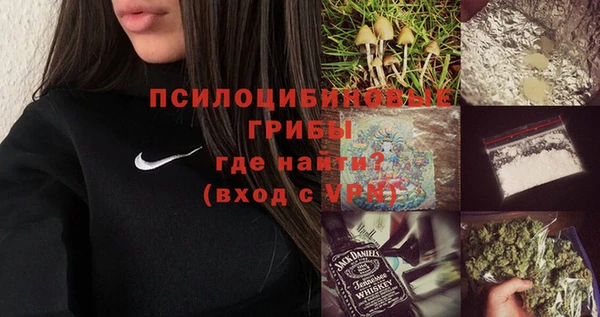 apvp Белокуриха